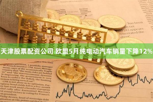 天津股票配资公司 欧盟5月纯电动汽车销量下降12%