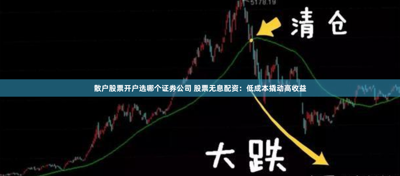 散户股票开户选哪个证券公司 股票无息配资:低成本撬动高收益