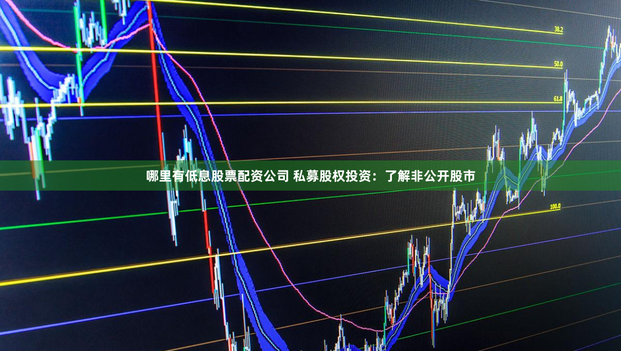 哪里有低息股票配资公司 私募股权投资：了解非公开股市