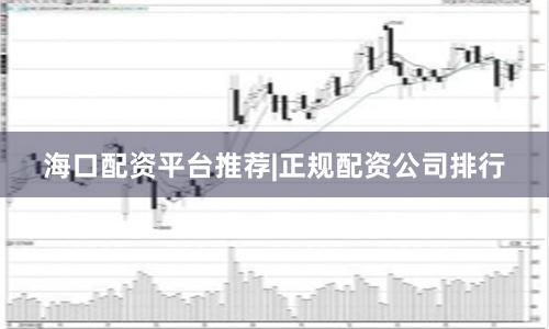 海口配资平台推荐|正规配资公司排行