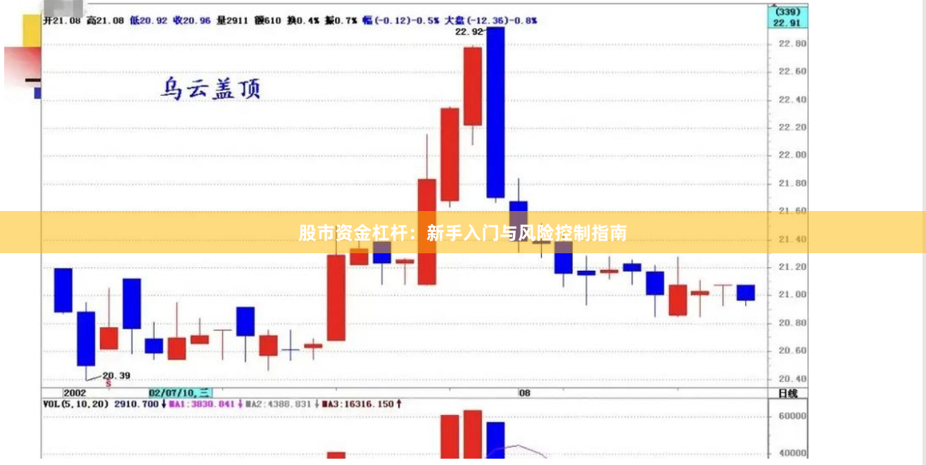股市资金杠杆：新手入门与风险控制指南