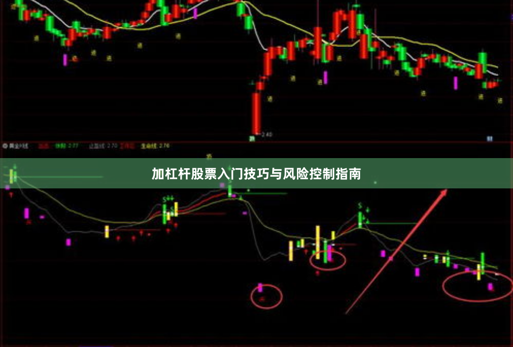 加杠杆股票入门技巧与风险控制指南